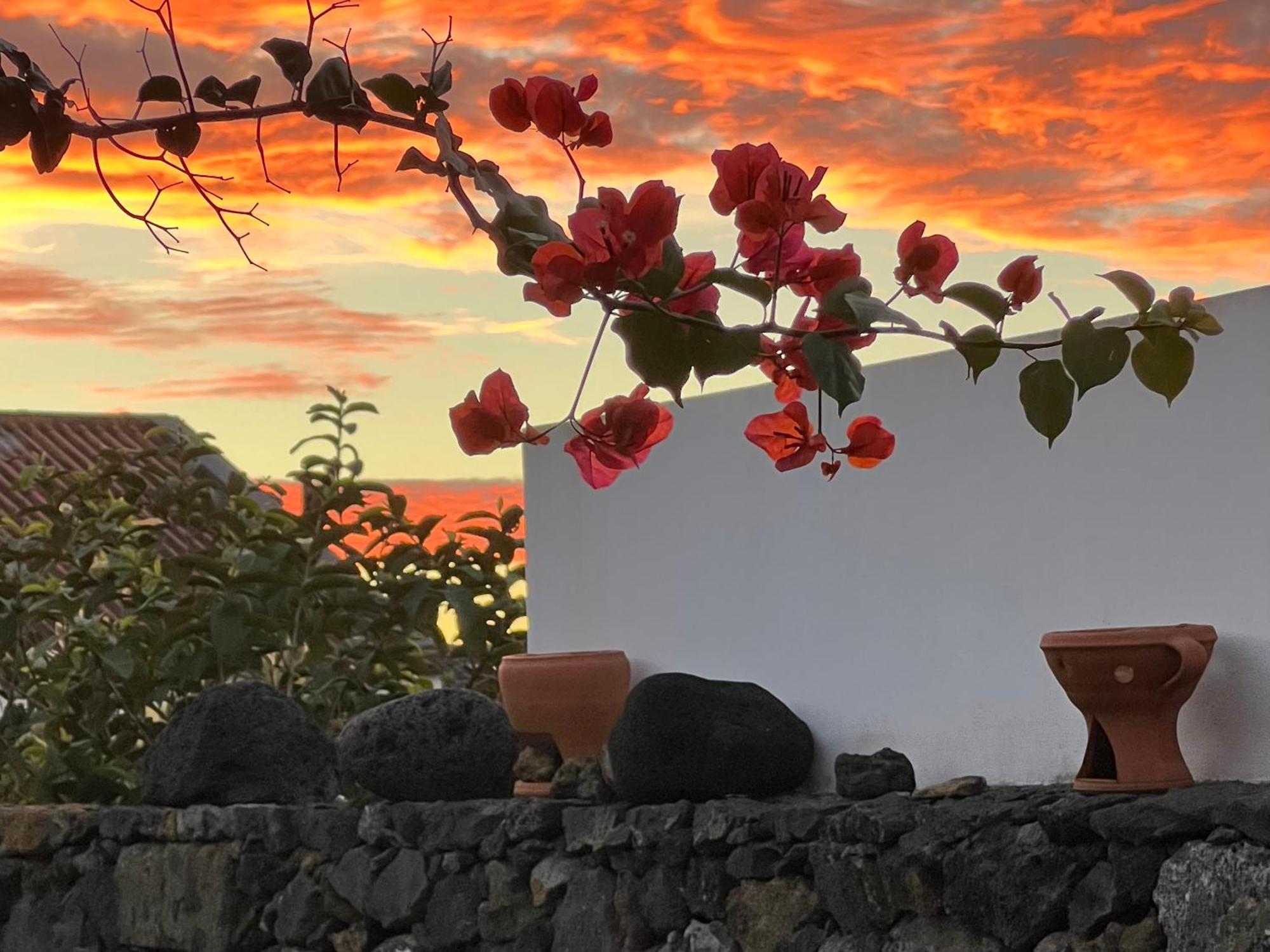 Ponta Delgada Casa Do Moinho 빌라 외부 사진